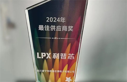 利普芯微電子榮獲華潤(rùn)微電子2024年“最佳供應(yīng)商獎(jiǎng)”！